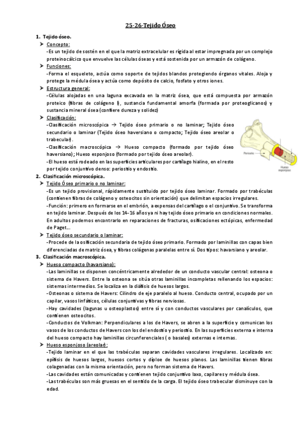 Miniatura del documento 25-26-Tejido-oseo.pdf