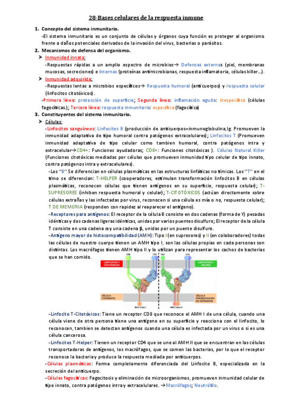 Miniatura del documento 28-Bases-celulares-de-la-respuesta-inmune.pdf