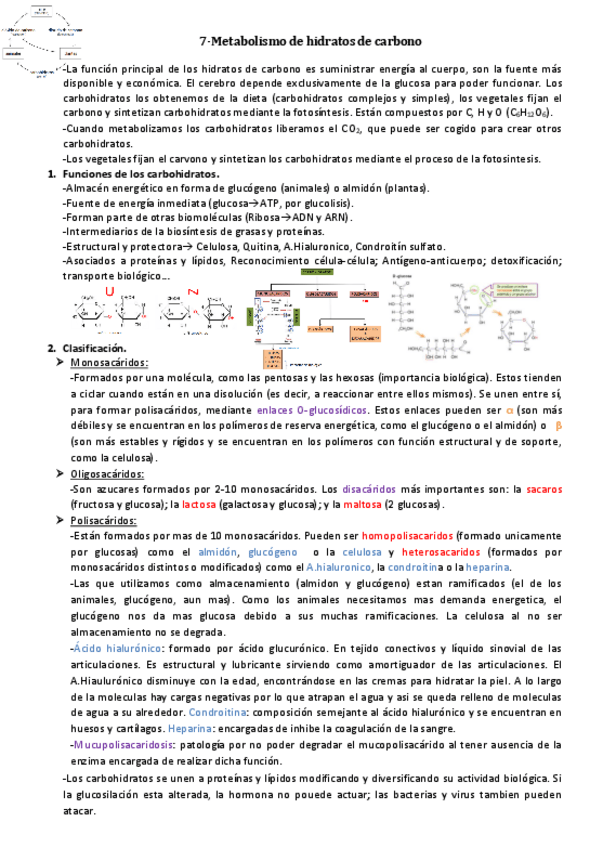 Miniatura del documento Tema-7.pdf