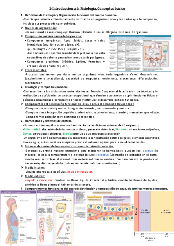 Miniatura del documento Tema-1.pdf