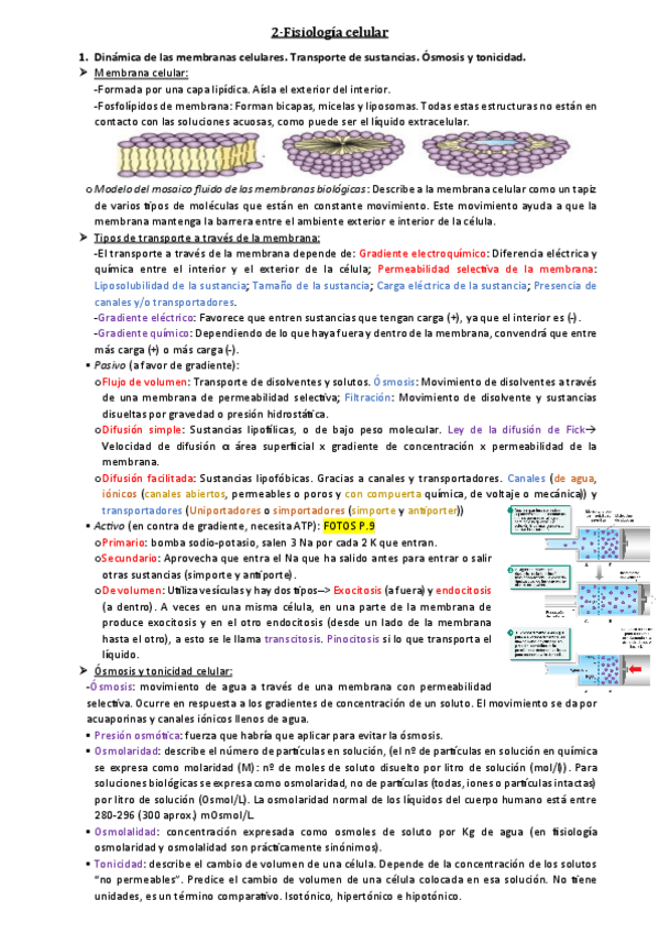 Miniatura del documento Tema-2.pdf