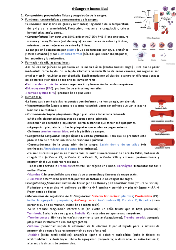 Miniatura del documento Tema-6.pdf