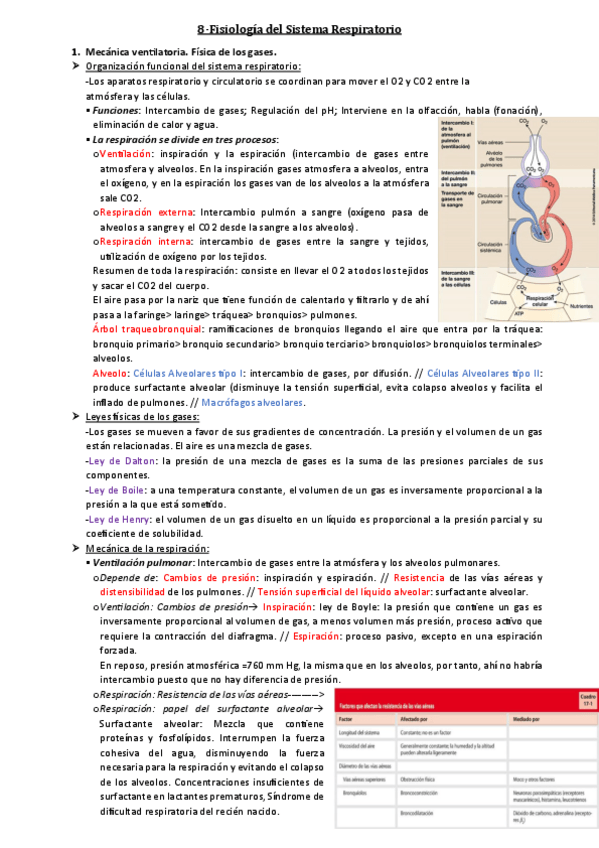 Miniatura del documento Tema-8.pdf