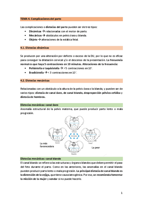 Miniatura del documento TEMA-4.2.-PartoComplicado.pdf