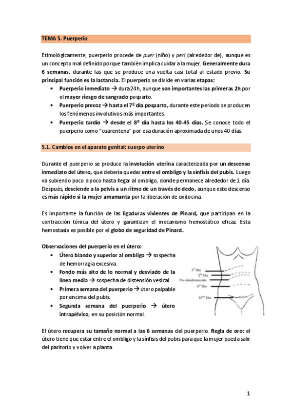 Miniatura del documento TEMA-5.-Puerperio.pdf