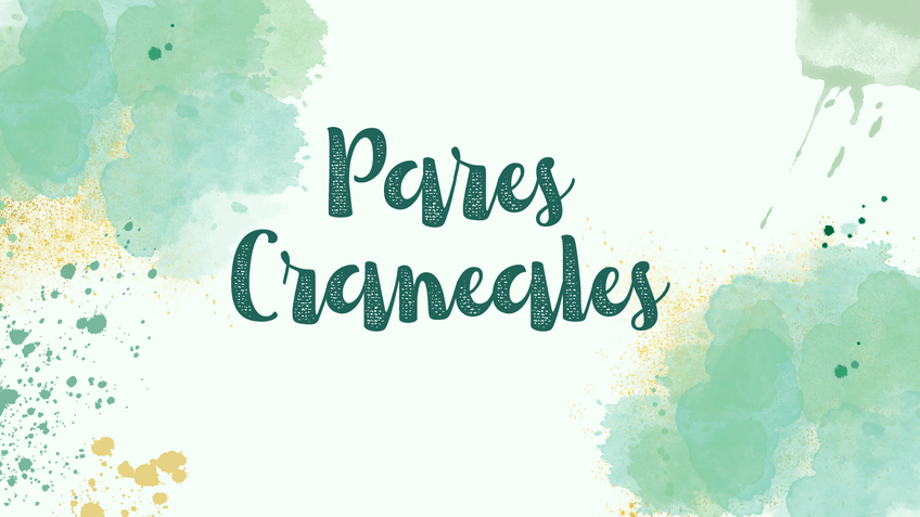 Miniatura del documento Pares-Craneales.pdf