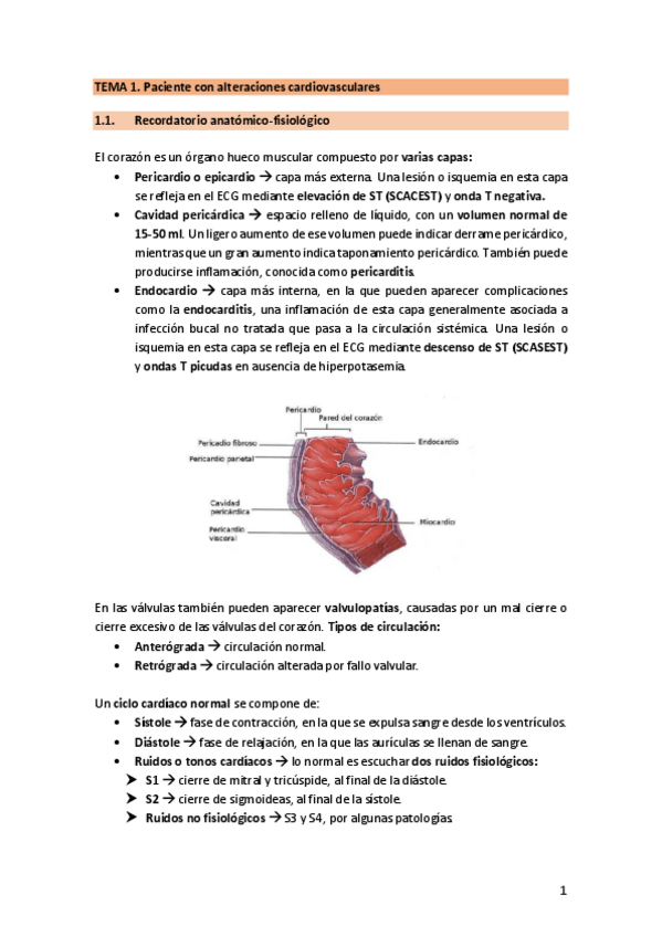 Miniatura del documento TEMA-1.-PacienteCardio.pdf
