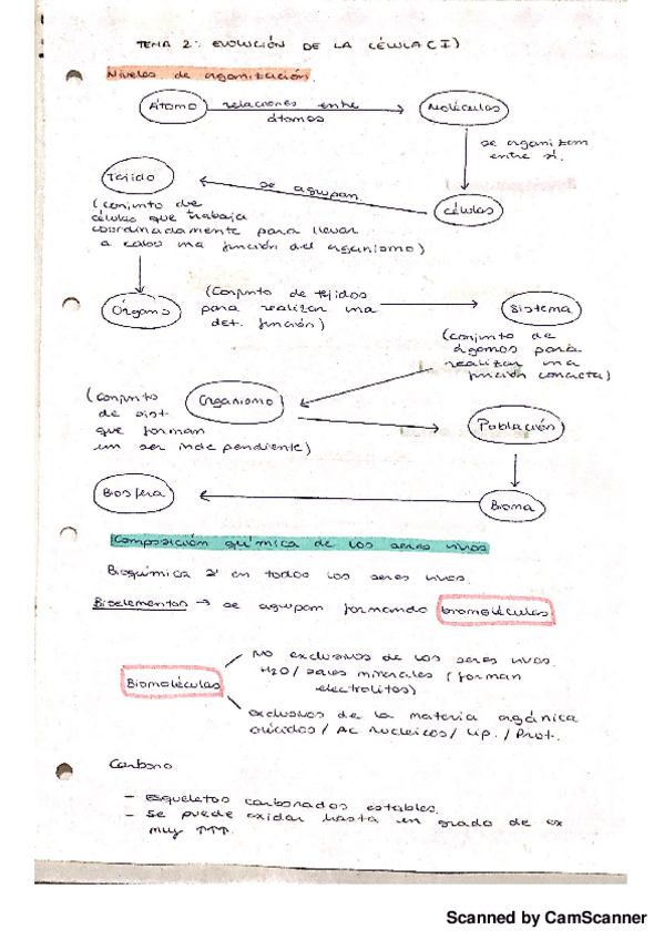 Miniatura del documento Biologia t2.1.pdf
