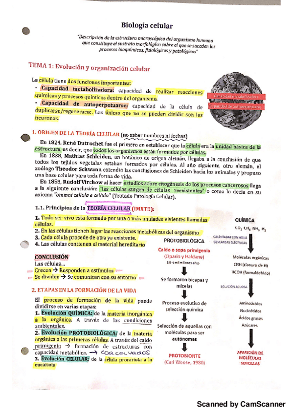 Miniatura del documento Biologia t2.2.pdf