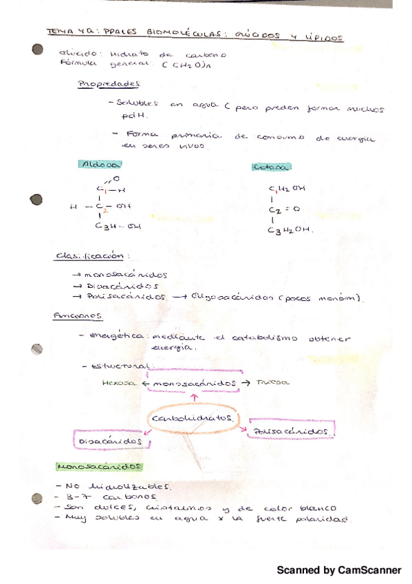 Miniatura del documento Biologia t4.1.pdf