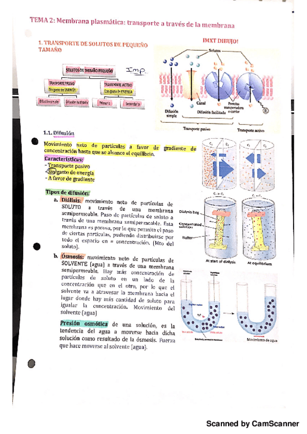 Miniatura del documento biologia t5.2.pdf