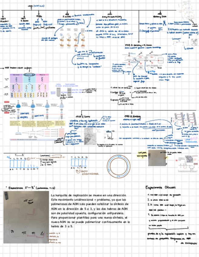 Miniatura del documento Apuntes.pdf