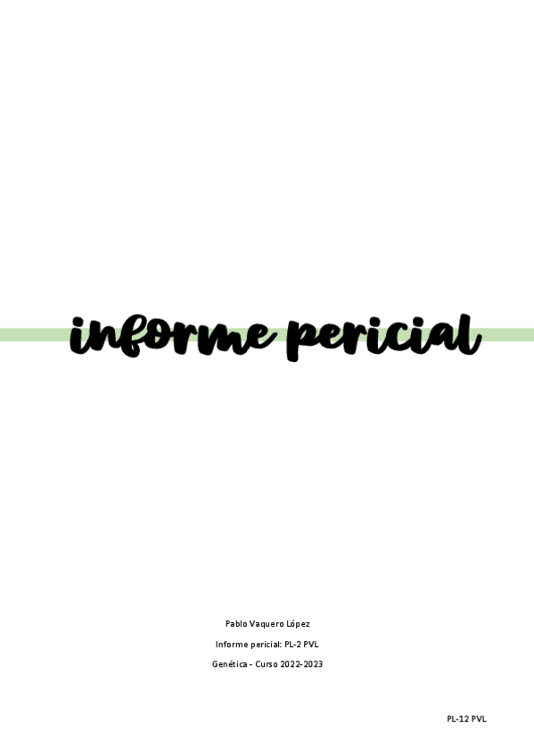 Miniatura del documento Informe-Pericial.pdf