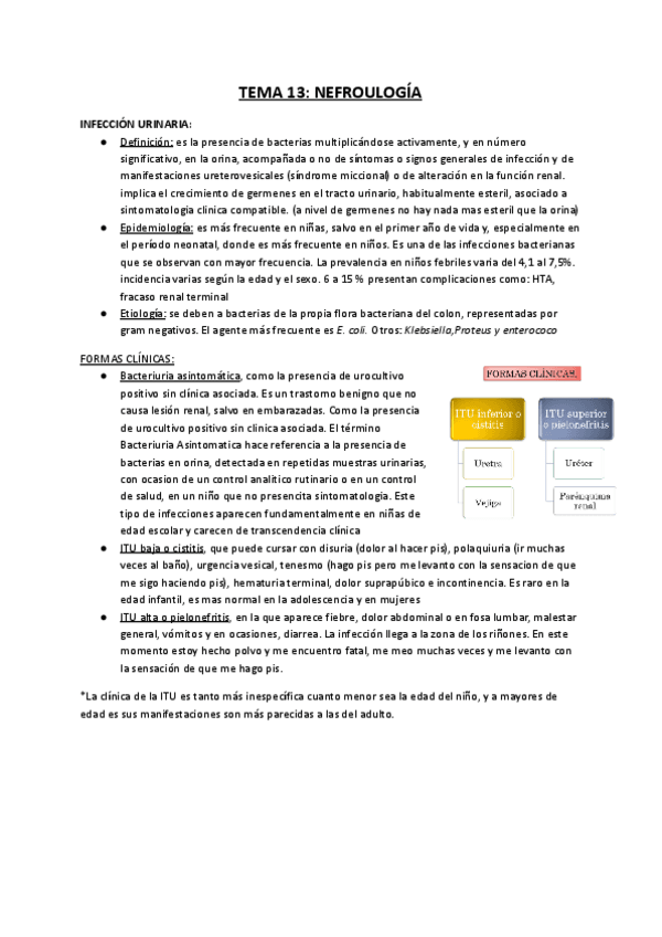 Miniatura del documento TEMA-13-Patologia-nefrourologica-en-la-infancia.pdf