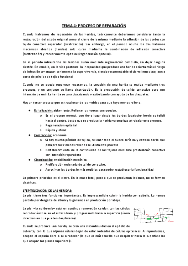 Miniatura del documento TEMA-4-Proceso-de-Reparacion.pdf