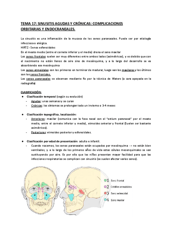 Miniatura del documento TEMA-17-SINUSITIS-1.pdf