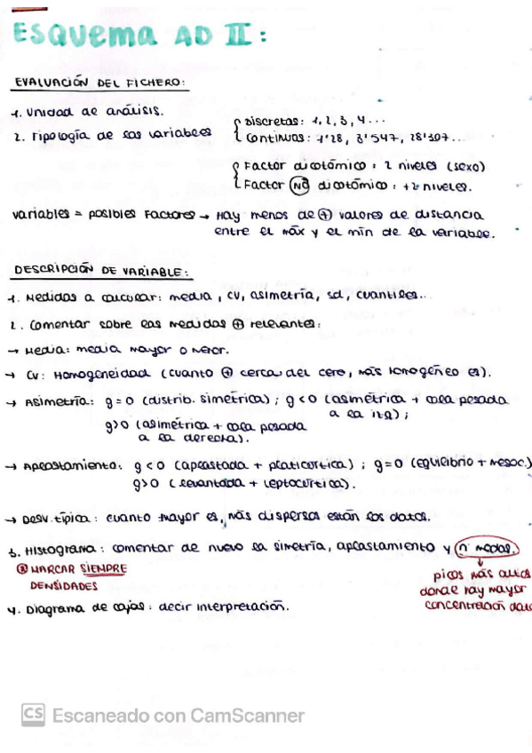 Miniatura del documento esquema-pasos-a-seguir.pdf