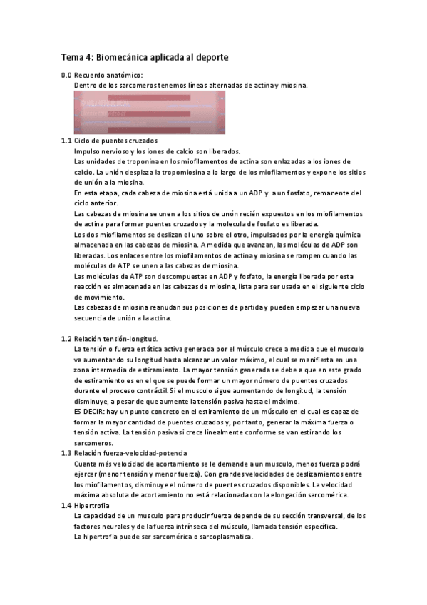 Miniatura del documento tema-4.pdf