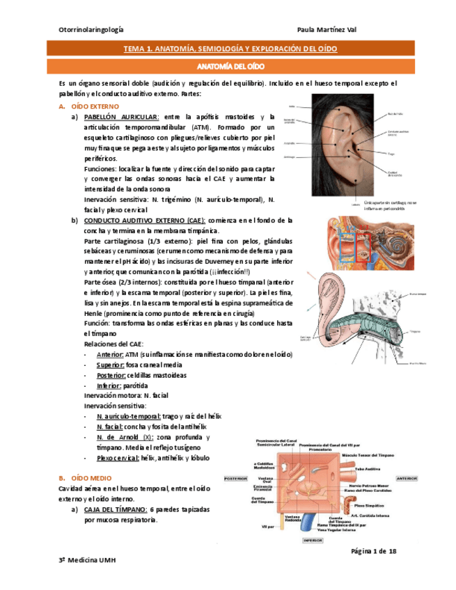 Miniatura del documento tema1otorrino.pdf