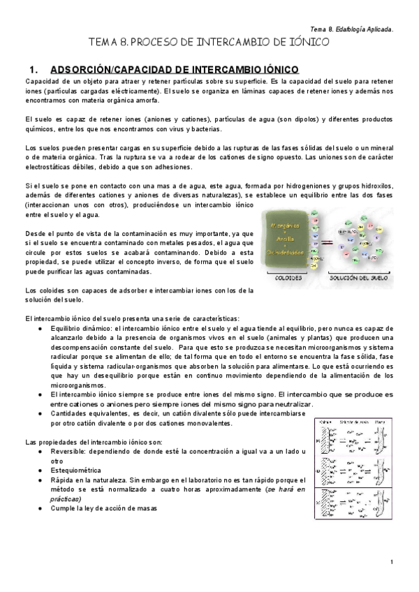 Miniatura del documento Tema VIII..pdf