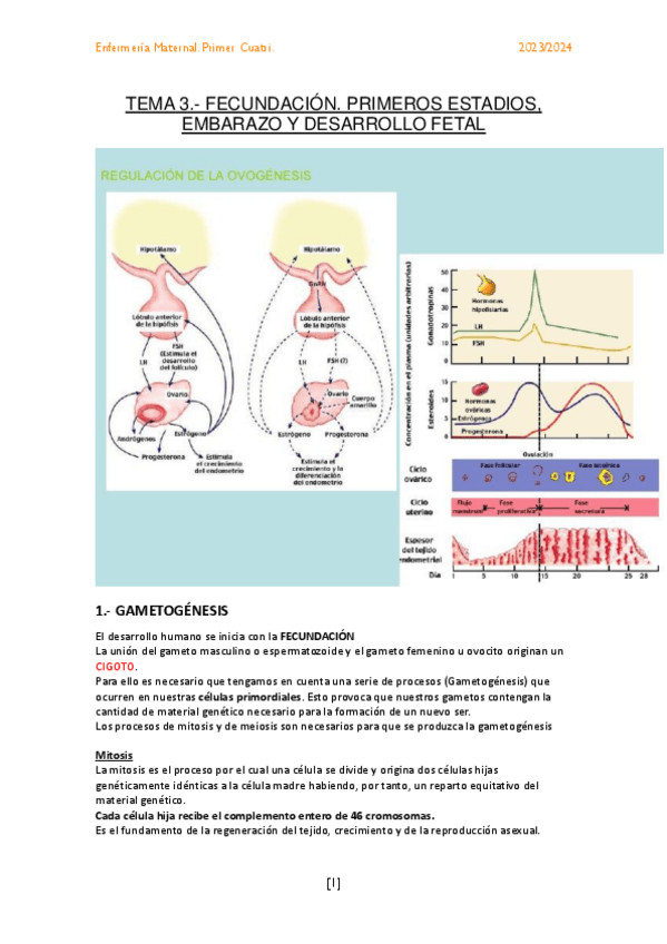 Miniatura del documento TEMA-3.-FECUNDACION.-PRIMEROS-ESTADIOS-EMBARAZO-Y-DESARROLLO-FETAL.pdf