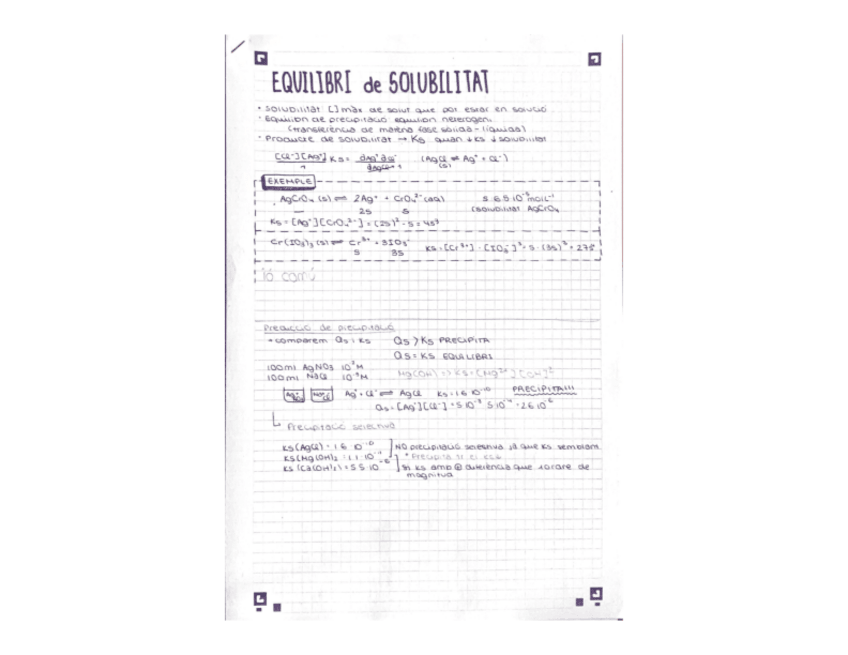 Miniatura del documento EQUILIBRI-de-SOLUBILITAT-teoria--ATKINS--PROPOSATS-RESOLTS.pdf