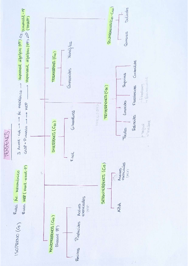 Miniatura del documento Conceptos-clave.pdf