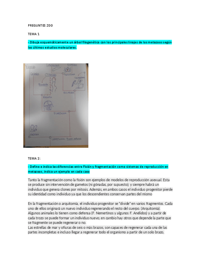 Miniatura del documento posibles-preguntes-zoo.pdf