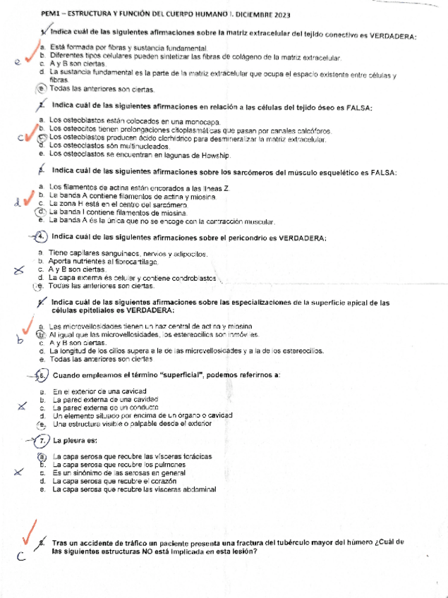 Miniatura del documento PEM-anato-23-24-desembre.pdf