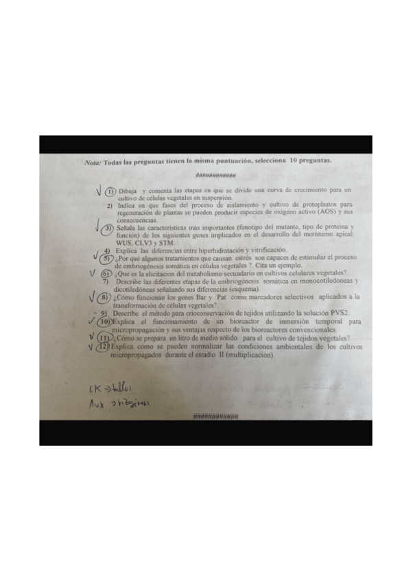 Miniatura del documento Examen-final.pdf