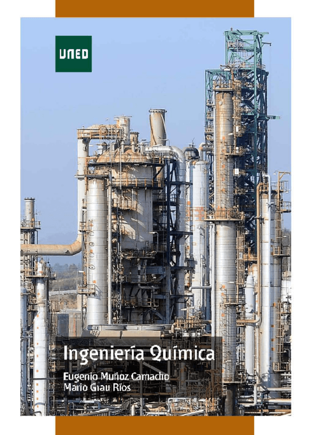 Miniatura del documento IngenieriaQuimicaEUGENIOMUNOZCAMACHO.pdf