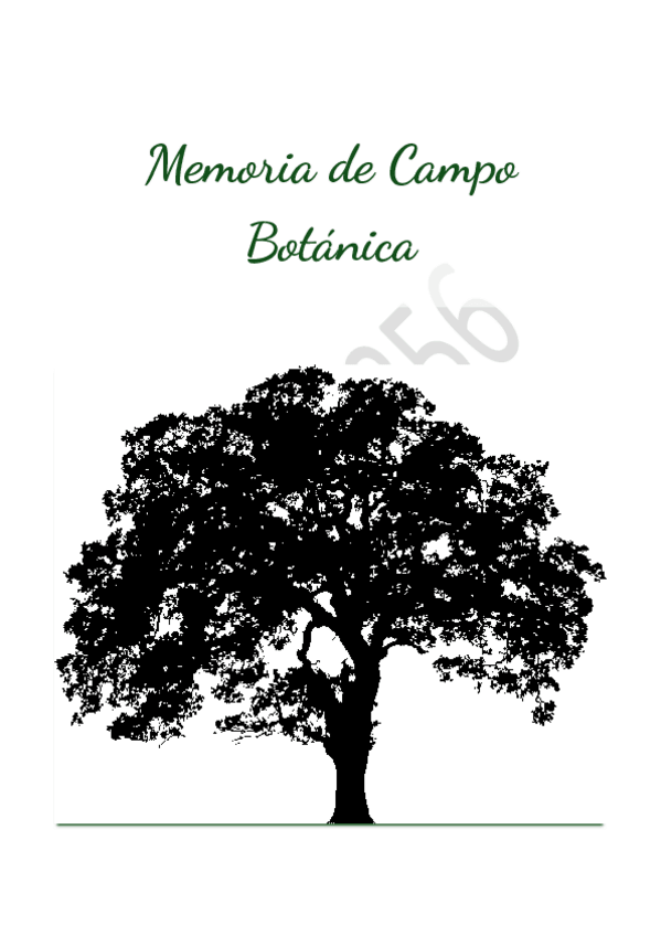 Miniatura del documento Memoria-de-campo-Botanica.pdf