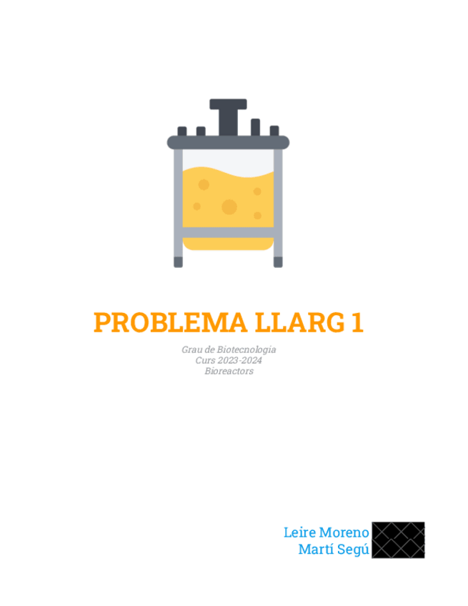 Miniatura del documento PROBLEMA-LLARG-1.pdf