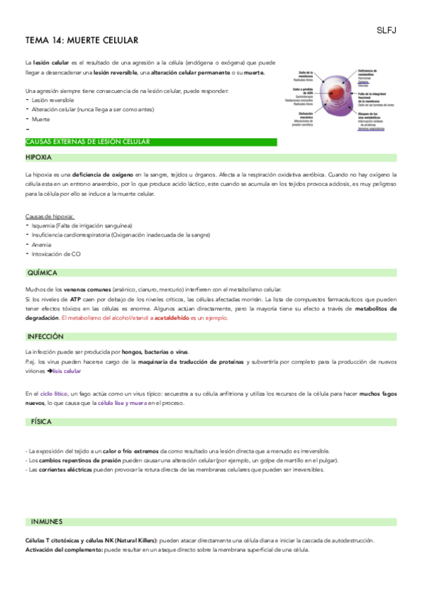 Miniatura del documento TEMA-14-BIO.pdf
