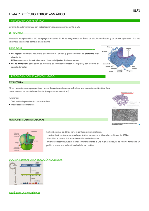 Miniatura del documento TEMA-7-BIO.pdf