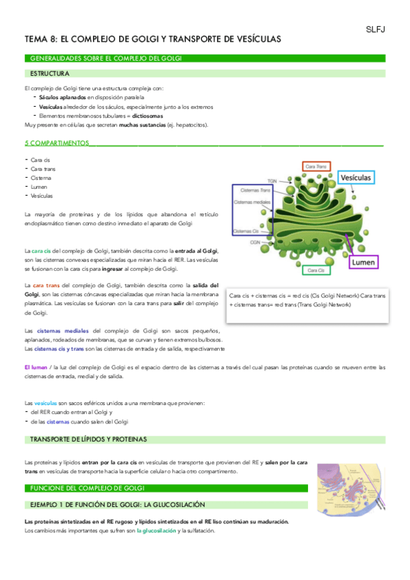 Miniatura del documento TEMA-8-BIO.pdf