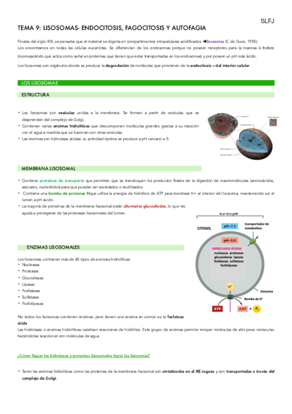 Miniatura del documento TEMA-9-BIO.pdf