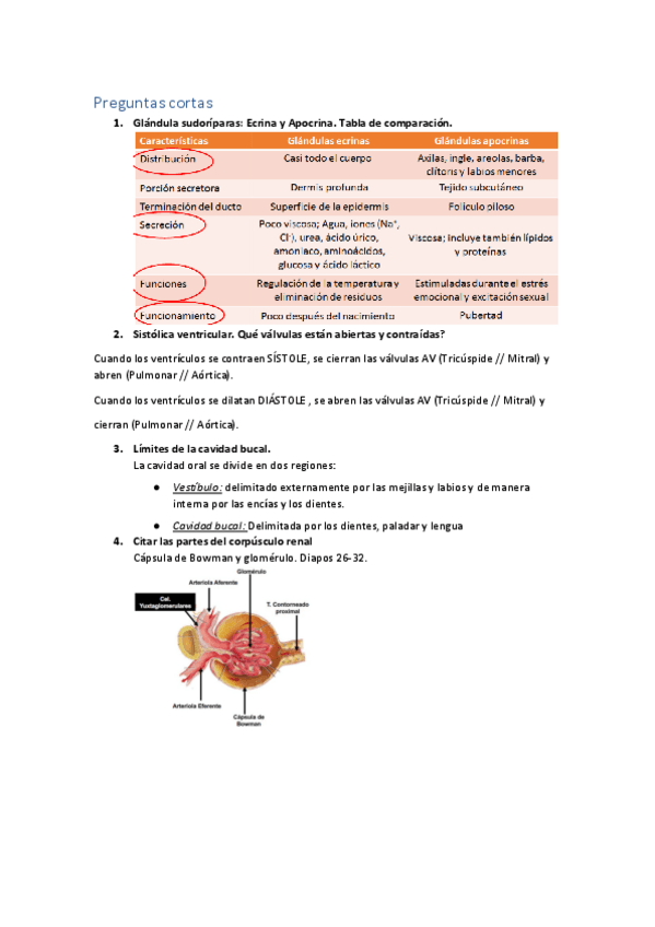 Miniatura del documento Anatomia-2do-parcial-2021.pdf