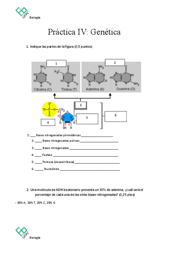 Miniatura del documento Practica-de-genetica.pdf