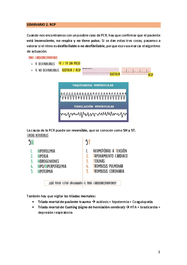 Miniatura del documento SEMINARIO-2.-RCP.pdf