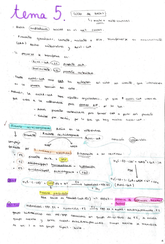 Miniatura del documento TEMA-5.pdf