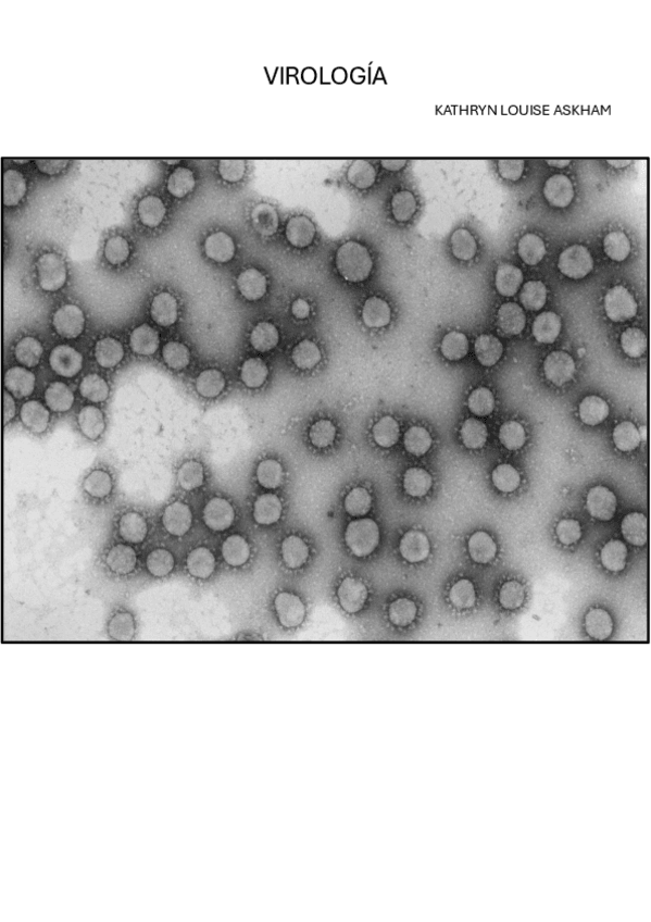 Miniatura del documento VIROLOGIA-APUNTES.-2024.pdf