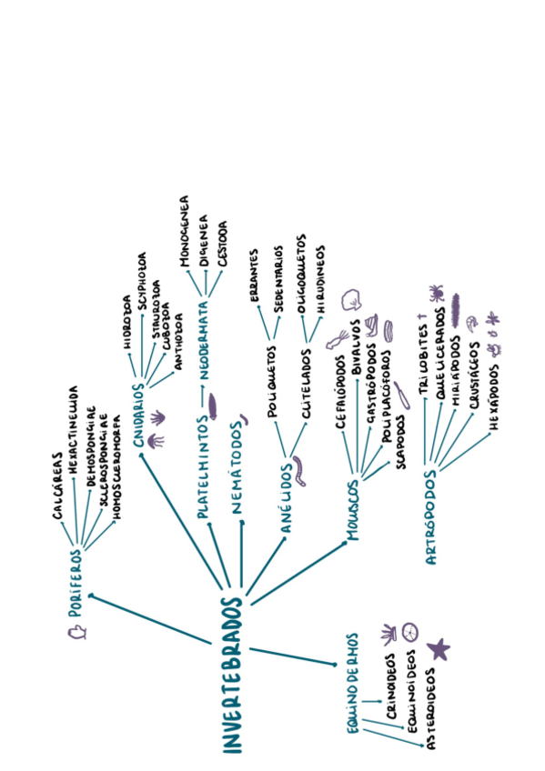 Miniatura del documento ESQUEMAclasifinvert.pdf