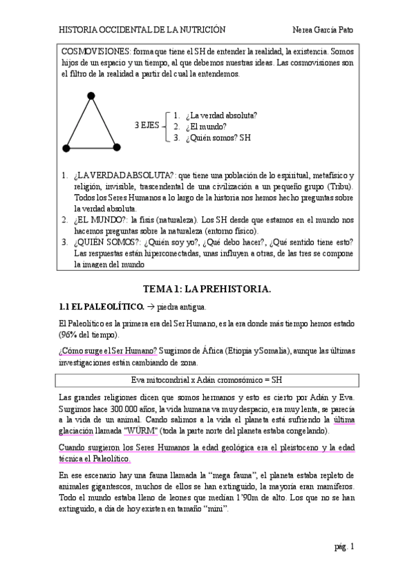 Miniatura del documento TEMA-1-PREHISTORIA.pdf