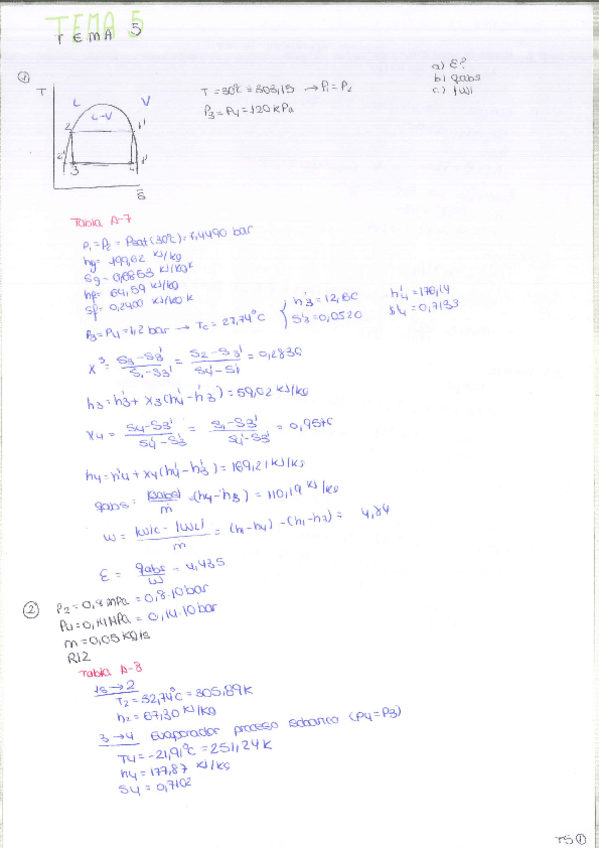 Miniatura del documento TEMA-5.pdf