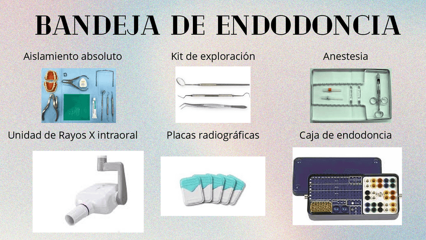 Miniatura del documento ACTS-TEMA-2.-BANDEJA-ENDODONCIA.pdf