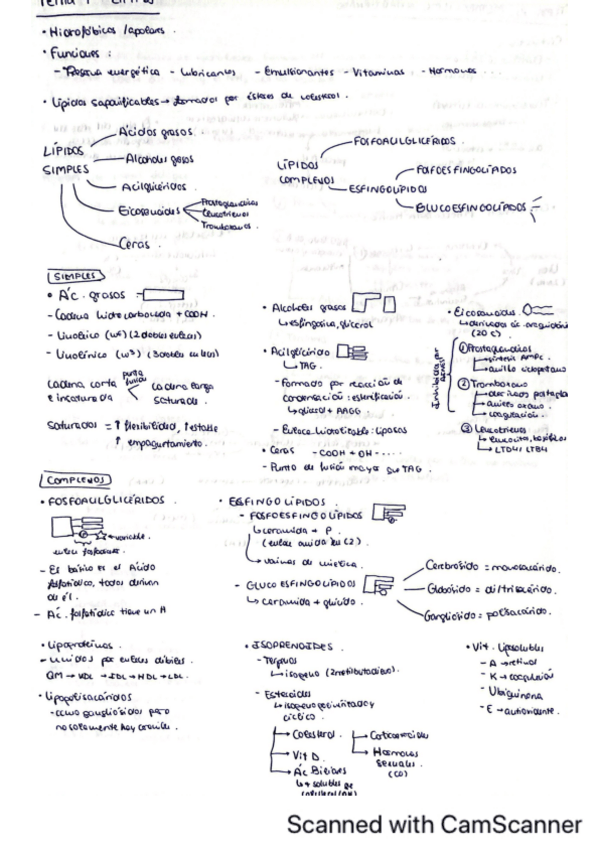 Miniatura del documento Resumenes-temas.pdf