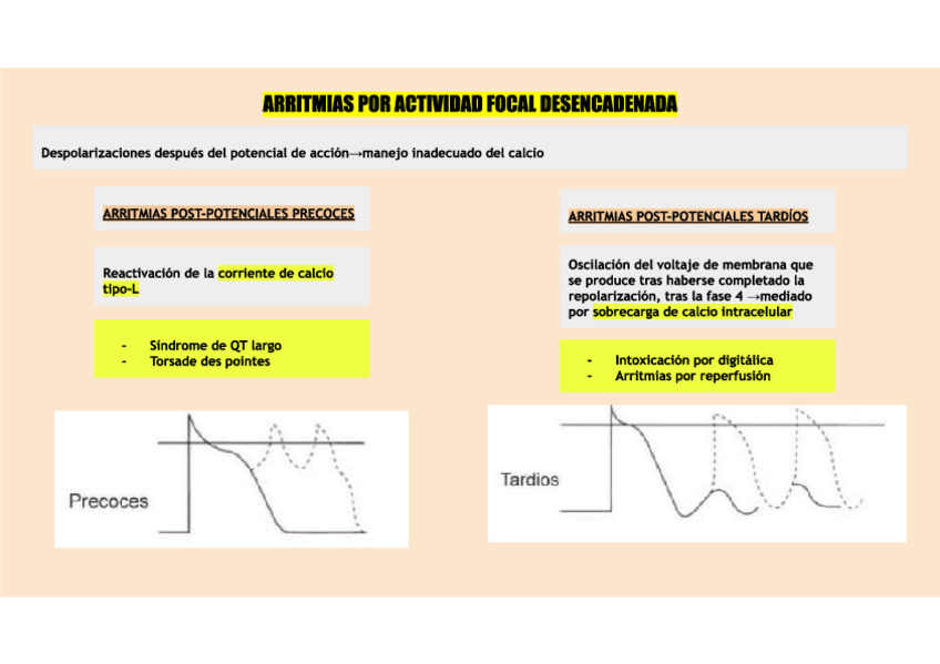 Miniatura del documento tarjetas-de-arritmias.pdf