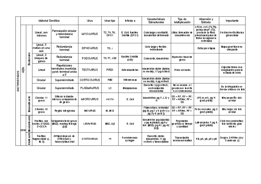 Miniatura del documento Tabla-resumen-virus-parcial-1.pdf