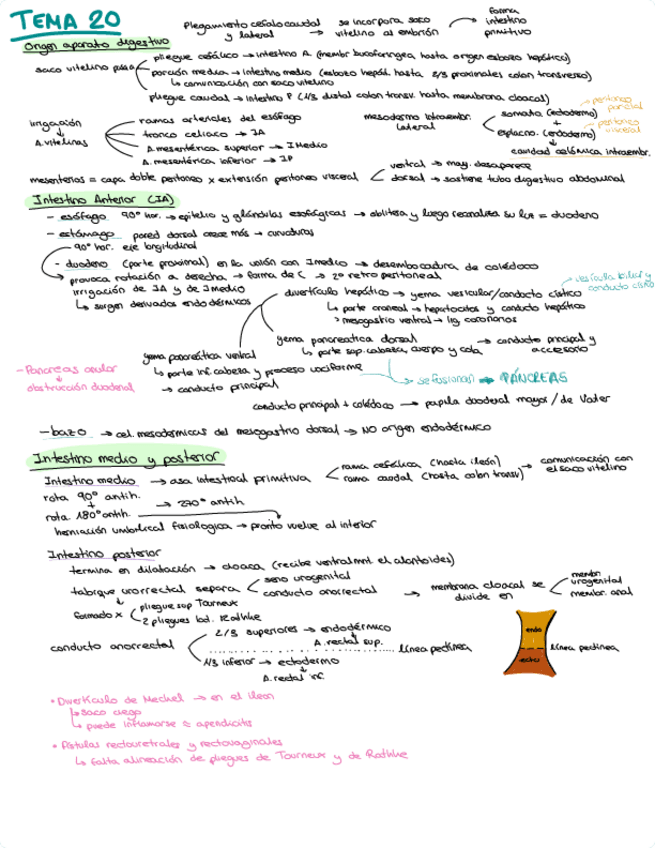 Miniatura del documento resumen-tema-20.pdf